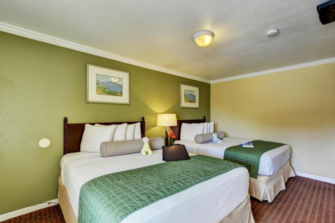 Traveler'S Inn Williams, Ca Modern Renovated Hotel 外观 照片